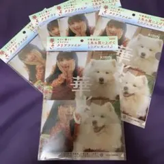 KIRIN クリアファイル 与田祐希　5枚セット