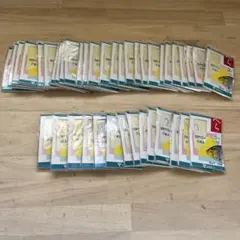 Item thumbnail for item e41e0510-1f60-48f6-ad82-e26b1663d90e