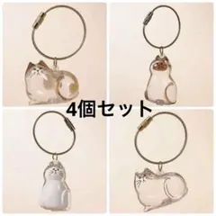 猫の毛カプセル 猫毛 猫毛キーホルダー 4点セット