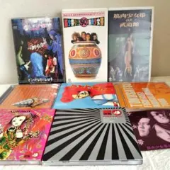 フラワーカンパニーズ CD 13枚セット まとめ売り フラカン - メルカリ
