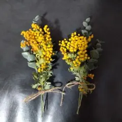 Item thumbnail for item bea3aca2-0a21-4171-a113-0f09ff1b2c83