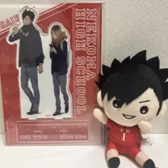 黒尾鉄朗＆孤爪研磨　アクリルスタンドセット