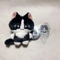 ジュン　ぬいぐるみ　10cm 新品　マスター　セブチ　svt