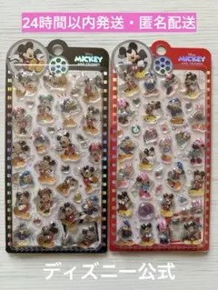 【海外正規品】ディズニー ミッキー ミニー 3D立体シール2枚セットコンプリート