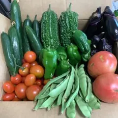 朝採りたて新鮮夏野菜の詰め合わせ８０サイズいっぱいのサムネイル