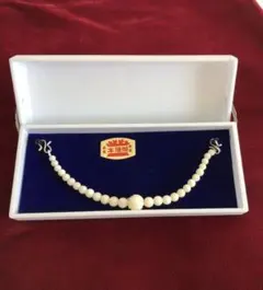 Item thumbnail for item 8dd85a19-4f45-40eb-8214-96314b9c56d4