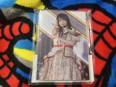 Item thumbnail for item 383b5add-b850-436a-a768-d29818689d3a