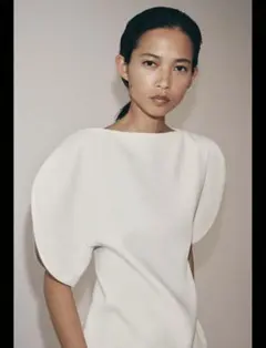 完売品⭐︎ZARA パフスリーブトップZW COLLECTION S 完売品⭐︎ZARA パフスリーブトップZW COLLECTION S - メルカリ
