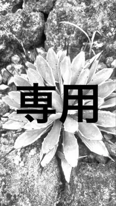 れもんぽっぷ様専用のサムネイル