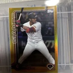 Item thumbnail for item 2066e7e2-26fd-46c7-bd95-efbf4d924b9a