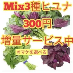 hong様 リクエスト 2点 まとめ商品