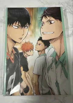 【匿名配送】ハイキュー!! Happyくじ G賞ポストカードブック