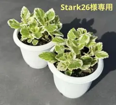 Stark26様 リクエスト 5点 まとめ商品
