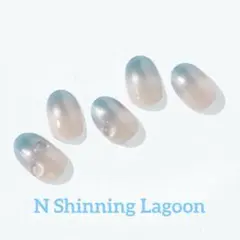 EVERNAIL K Ice Blue Moon ネイルチップ - メルカリ