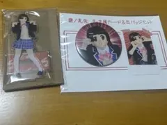 謎/美兎 チェキ風カード＆缶バッジセット アクキー　アクスタ