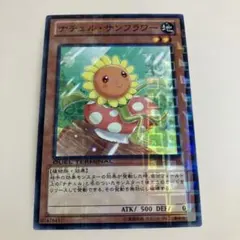 遊戯王 ナチュル・サンフラワー DTC2-JP041 - メルカリ