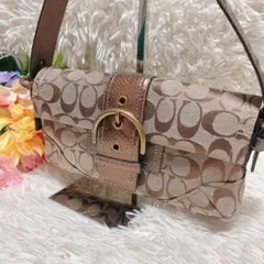 【極美品】coach コーチ 総柄 ロゴ ソーホー パイソン ワンショルダー