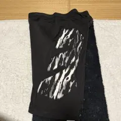 野球スラパン