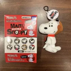 PEANUTS Many Faces of Snoopy