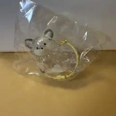 うちの子けだまだま　チワワ