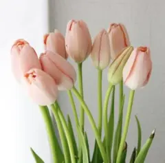 s☆☆☆さまご専用