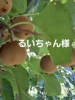 るいちゃん様専用です。