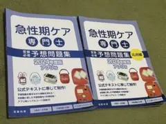 2025 急性期ケア専門士　2冊セット　予報問題集　応用編　基礎編？ 2025 急性期ケア専門士 2冊セット 予報問題集 応用編 基礎編？