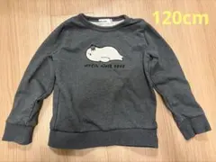 Bebe べべ 120 トレーナー