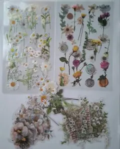 Item thumbnail for item 2e9b02e0-656d-4b6a-b52d-c51ba7666aa4