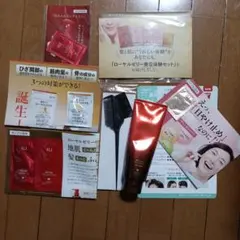 RJ ヘアカラートリートメント ライトブラウン セット