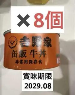 吉野家 牛カレー バタチキ 缶詰牛丼 レトルト セット 13個セット 地震 