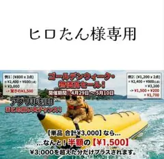 ヒロたん様専用 詳しい流れは商品説明文をお読みください