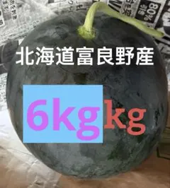 北海道富良野産 種無しスイカ 6kg〜8kg 北海道富良野産 種無しスイカ 6kg〜8kg - メルカリ