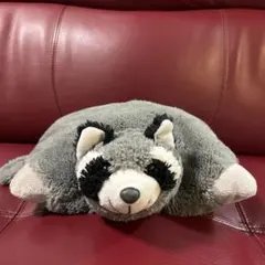 アライグマぬいぐるみ 約30cm ふわふわ