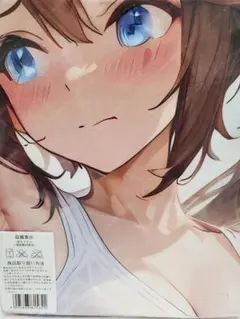 超大バスタオル トウカイテイオー