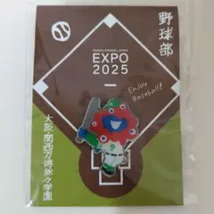 ⭐︎新品未使用⭐︎ブラジルパビリオン限定ピン 万博 ブラジルパビリオン ピンバッジ キーホルダー - メルカリ