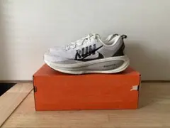 Nike ペガサスeasy on 28cm アルペン限定 - メルカリ