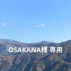 OSAKANAさま専用
