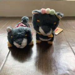 Item thumbnail for item ff7ec1c7-a6d6-43f1-8253-ef6f78522596