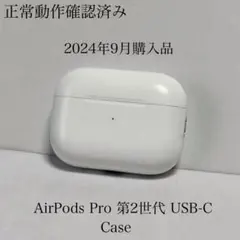 正常動作品　24年9月購入　AirPods Pro 第2世代 USB-C ケース