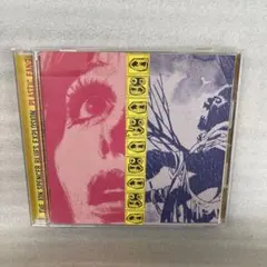 CD　ザ・ジョン・スペンサー・ブルース　6thアルバム　14曲入り　2002年