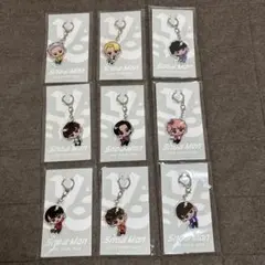 Snow Man LABO アクリルキーホルダー 9人セット 新品未開封