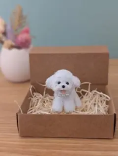 2026年最新】ぬいぐるみ 犬 マルチーズの人気アイテム - メルカリ