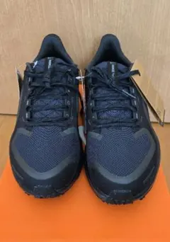 NIKE Air Zoom Pegasus 41 GTX