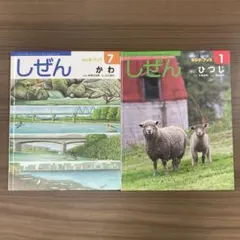 絵本２冊セット　キンダーブック