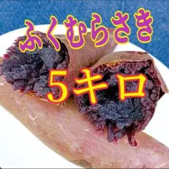 ☆希少☆ 茨城県産　紫芋　ふくむらさき 　Mサイズ　5キロ　☆3