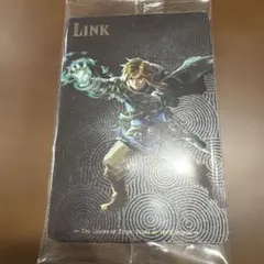 ゼルダの伝説 ティアーズ オブ ザ キングダム リンク