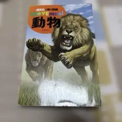 move mini動物 デジタル図鑑付き