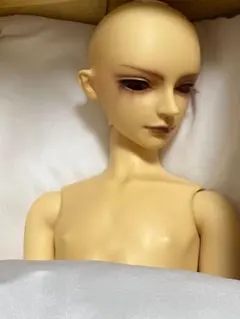 支倉常長 スーパードルフィー ボークス VOLKS SDGr 未使用品 - メルカリ
