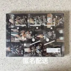 Hey! Say! JUMP PARADE 初回限定盤1 CD＋DVD